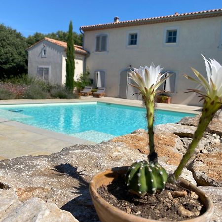 Truffle And Oil Bed and Breakfast Ventenac-Cabardès Exterior foto